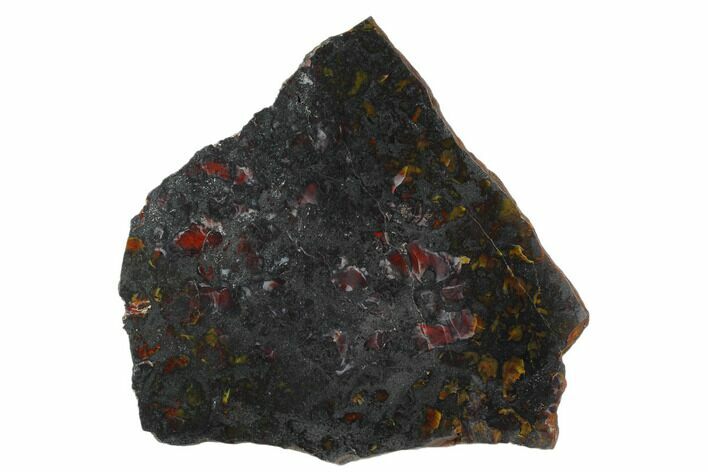 Polished Stromatolite (Collenia) Slab - Minnesota #129232